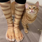 Turn Your Feet Into Cat Paws 🐾 | Viral Funny Animal Socks