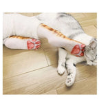 Turn Your Feet Into Cat Paws 🐾 | Viral Funny Animal Socks
